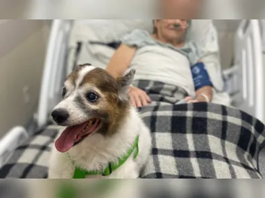 Imagem ilustrativa da imagem Visita inédita de cãozinho em hospital do ES leva alegria à pacientes