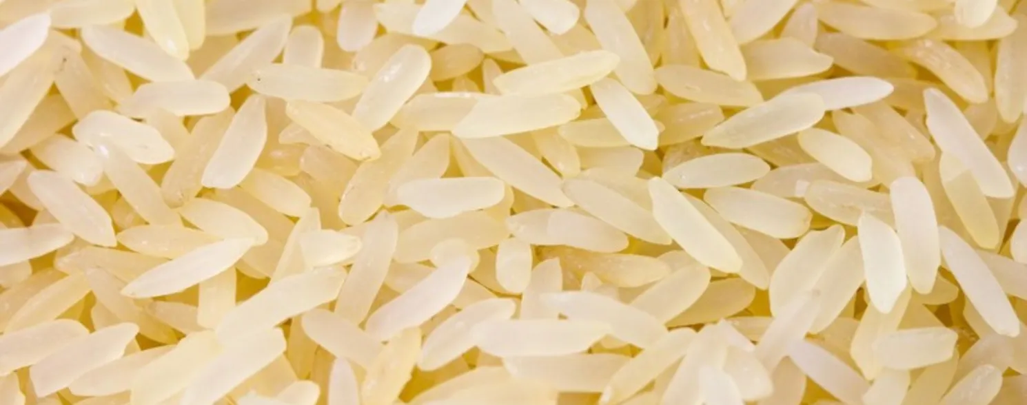 Imagem ilustrativa da imagem RS anuncia fim da colheita de arroz e diz que não há motivo para importação