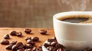 Imagem ilustrativa da imagem A cafeicultura sustentável abre portas