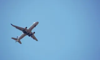 Imagem ilustrativa da imagem Avião faz pouso de emergência na Nova Zelândia após suposta colisão com pássaros