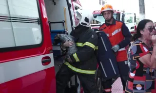 Imagem ilustrativa da imagem Cadela é resgatada de incêndio em prédio de Vila Velha