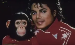Imagem ilustrativa da imagem Chimpanzé de Michael Jackson ainda está vivo e mora em santuário na Flórida