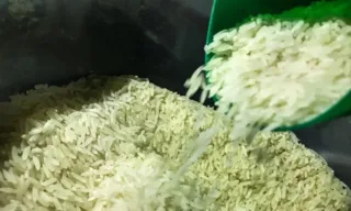 Imagem ilustrativa da imagem Chuva no RS: Brasil vai importar arroz para evitar especulação de preços