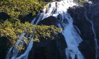 Imagem ilustrativa da imagem Com 144 metros, Cachoeira da Fumaça em Alegre é a maior do ES