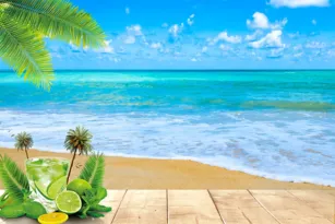 Imagem ilustrativa da imagem Como gerenciar e organizar suas fotos de férias