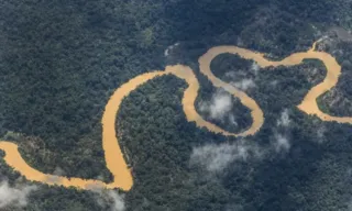 Imagem ilustrativa da imagem Desmatamento cai 62% na Amazônia e 12% em todo o Brasil, aponta MapBiomas