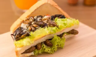Imagem ilustrativa da imagem Especialistas revelam como vai ser a alimentação do futuro