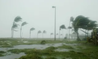 Imagem ilustrativa da imagem Flórida tem alagamentos, resgates e escolas sem aula após fortes chuvas