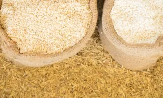 Imagem ilustrativa da imagem Governo anula leilão para compra de arroz importado após supostas irregularidades