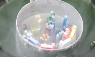 Imagem ilustrativa da imagem Por que falar sobre congelamento de óvulos é tão importante?