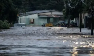 Imagem ilustrativa da imagem Rio Grande do Sul investiga mais de 800 casos de leptospirose