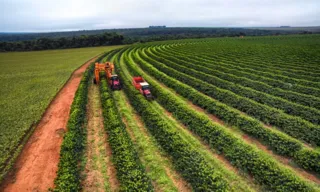 Imagem ilustrativa da imagem Trabalhador morre após ser atropelado por máquina de café no Norte do ES