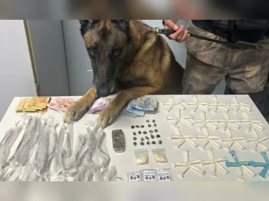 Imagem ilustrativa da imagem Cão de faro encontra drogas após denúncias de venda em bairro de Vitória