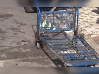 Cão ataca outro animal em uma mercearia