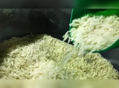 Imagem ilustrativa da imagem Chuva no RS: Brasil vai importar arroz para evitar especulação de preços