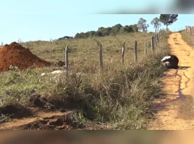 Kennedy Carminati Scarton foi assassinado a tiros