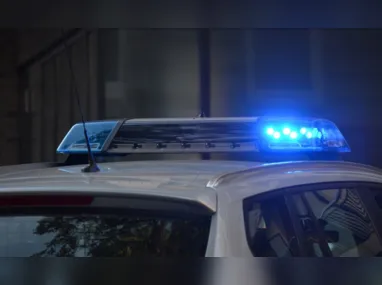 Imagem ilustrativa da imagem Homens disfarçados de dedetizadores roubam armas de vigias de banco em SP