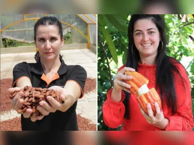 Plantação de café conilon: retorno dos resíduos de pós-colheita ao solo e a manutenção dos resíduos das podas entre as práticas sustentáveis
