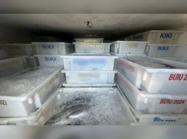 Imagem ilustrativa da imagem Polícia apreende 10 toneladas de pescado irregular no ES