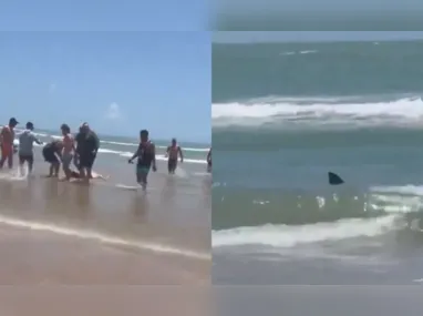 Imagem ilustrativa da imagem Quatro pessoas ficam feridas após ataque de tubarão em praia dos EUA