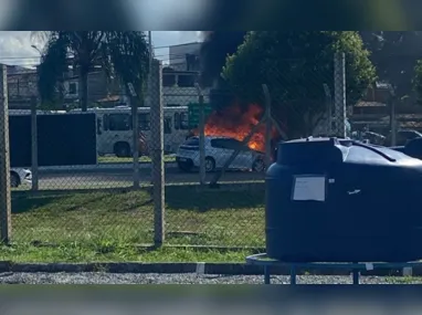 Imagem ilustrativa da imagem VÍDEO | Carro pega fogo próximo ao Aeroporto, em Vitória