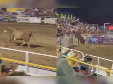 Imagem ilustrativa da imagem VÍDEO | Touro foge de rodeio e invade arquibancada nos EUA