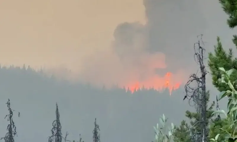 Imagem ilustrativa da imagem Canadá: incêndios podem ter destruído metade da cidade histórica de Jasper
