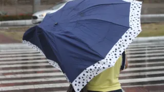 Imagem ilustrativa da imagem Sudeste pode registrar até 400mm de chuva neste final de semana. Veja previsão