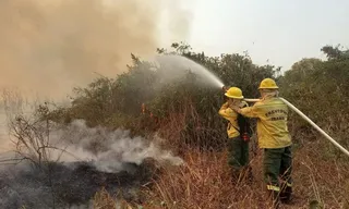 Imagem ilustrativa da imagem Bolívia ultrapassa o Brasil em focos de incêndio, aponta Inpe