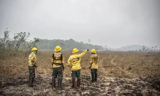 Imagem ilustrativa da imagem Dino autoriza Lula a usar crédito fora da meta fiscal no combate a incêndios