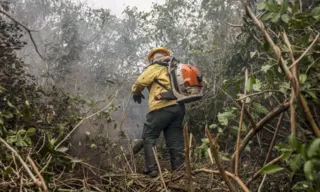 Imagem ilustrativa da imagem Governo Lula quer proibição do fogo e crédito extraordinário para Amazônia