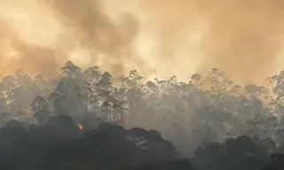 Imagem ilustrativa da imagem Homem é detido após incêndio queimar área equivalente a 10 campos de futebol no ES