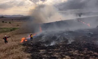 Imagem ilustrativa da imagem Saiba como agir se perceber um foco de incêndio perto de casa ou na estrada
