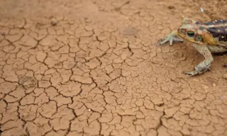 Imagem ilustrativa da imagem Mais de mil cidades do Brasil enfrentam seca severa ou extrema