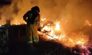 Imagem ilustrativa da imagem Moradores de Ribeirão Preto deixam casas cercados por fogo e tempestade de poeira