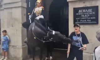 Imagem ilustrativa da imagem Mulher desmaia após ser mordida por cavalo da Guarda Real em Londres