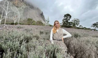 Imagem ilustrativa da imagem Novo lavandário atrai mais turistas em Pedra Azul