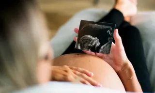 Imagem ilustrativa da imagem Opas faz alerta sobre possível transmissão do vírus oropouche da mãe para o bebê