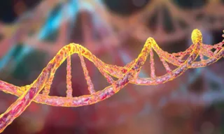 Imagem ilustrativa da imagem Pesquisadores identificam genes associados ao TDAH