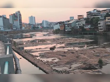 Guaraná pode aumentar o estado de alerta e concentração