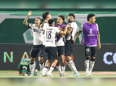 Imagem ilustrativa da imagem Botafogo segura empate com Palmeiras e avança na Copa Libertadores