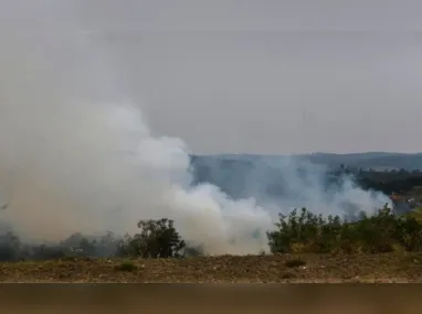 Imagem ilustrativa da imagem Incêndio criminoso em área de mata pode render pena de até oito anos