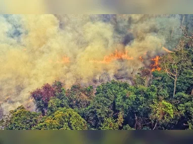 Seca deve dificultar navegação no rio Amazonas e pode subir preço de produtos