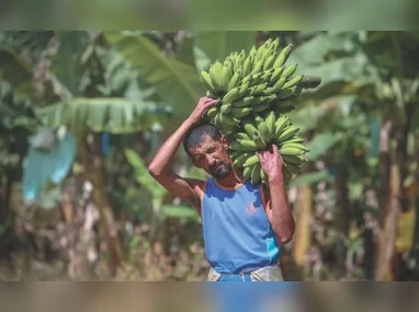 Renata Erler já foi convidada a prestar consultoria para um grande grupo agropecuário em Angola