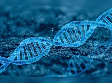 Imagem ilustrativa da imagem Ministério da Justiça vai usar DNA para ajudar buscas de desaparecidos