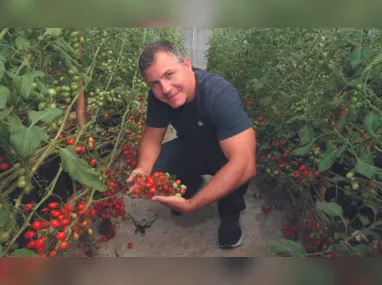 Henriqueta Sacramento ensina a preparar os chás por meio de infusão das folhas secas ou verdes