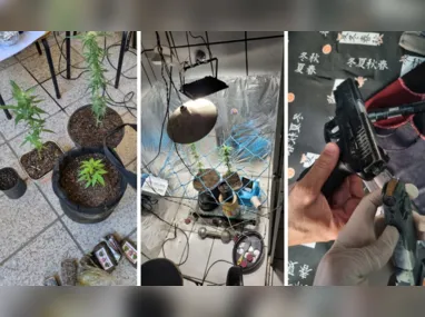 Imagem ilustrativa da imagem Polícia Federal encontra plantação de maconha e arma na casa de jovem em Vila Velha