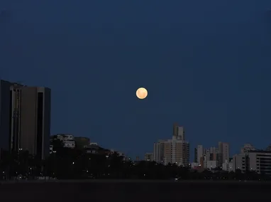 Amazônia: essa é a primeira ação protocolada pela AGU em nome do ICMBio