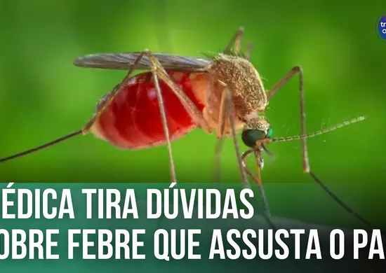 Imagem ilustrativa da imagem Médica tira dúvidas sobre febre do Oropouche | Fala, Doutora!