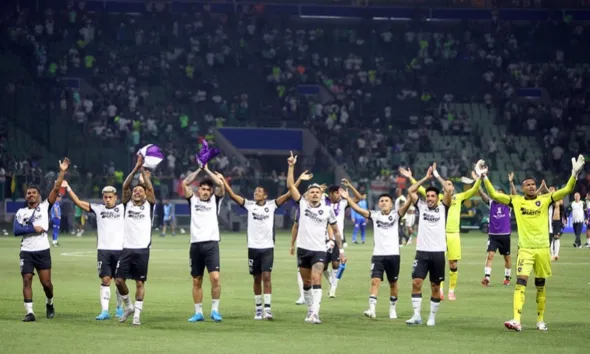 Imagem ilustrativa da imagem MELHORES MOMENTOS | Botafogo supera pressão do Palmeiras e segue na Libertadores